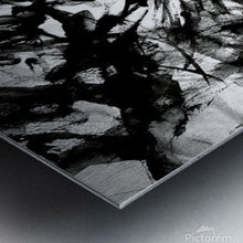Load image into Gallery viewer, 2279331 :: Brushed Metal Print
